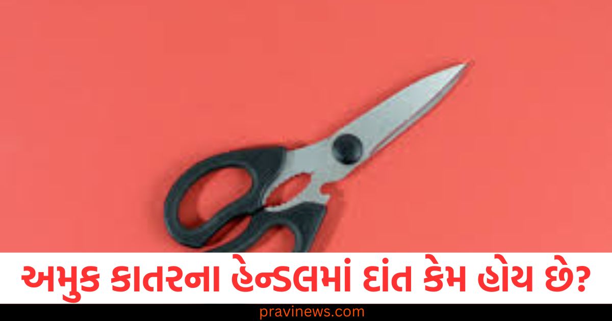 અમુક કાતરના હેન્ડલમાં દાંત કેમ હોય છે? તેનો સાચો ઉપયોગ શું છે તમે જાણો છો? https://www.pravinews.com/religion/astrology/kal-ka-rashifal-tomorrow-horoscope-6-january-2025-bhavishyafal-lucky-and-unlucky-zodiac-signs-83752