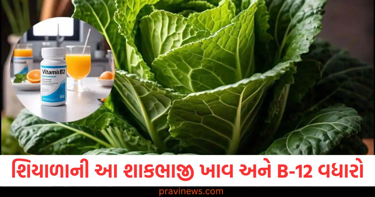 શિયાળાની આ 3 શાકભાજી ખાવ અને વિટામિન B-12 વધારો , શાકાહારીઓ માટે શ્રેષ્ઠ વિકલ્પ https://www.pravinews.com/lifestyle/tips-to-make-carrot-juice-without-juicer-machine-at-home-extract-vegetable-juice-with-these-tricks-84816