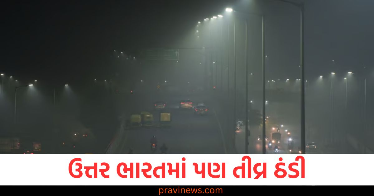 ગાઢ ધુમ્મસ, (Dense Fog), દિલ્હી, (Delhi), ઉત્તર ભારતમાં, (In North India), તીવ્ર ઠંડી, (Severe Cold),