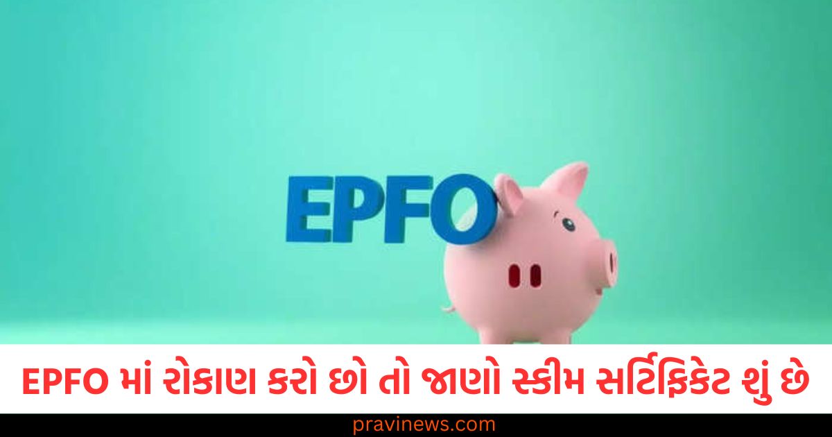 "EPFO માં રોકાણ કરો છો તો સ્કીમ સર્ટિફિકેટ શું છે?", "EPFO સ્કીમ સર્ટિફિકેટ: કેવી રીતે કાર્ય કરે છે અને તેની માહિતી", "EPFO સ્કીમ સર્ટિફિકેટ શું છે અને તે કેવી રીતે કામ કરે છે?", "EPFO સ્કીમ સર્ટિફિકેટ માટેની પ્રક્રિયા અને તેનું મહત્વ", "EPFO સ્કીમ સર્ટિફિકેટ મેળવવાની રીત અને કાર્યપ્રણાલી",