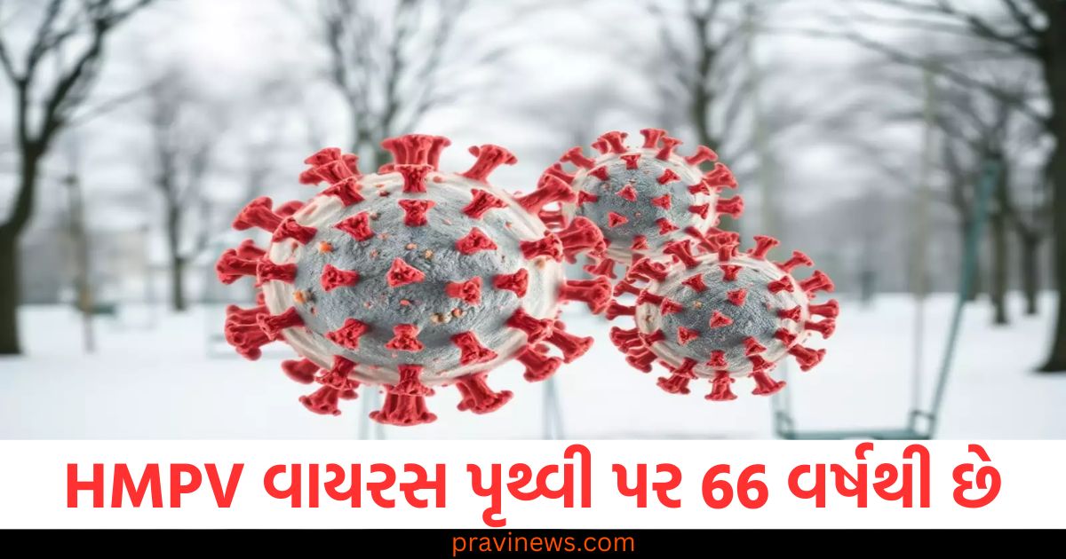 HMPV વાયરસ પૃથ્વી પર 66 વર્ષથી છે, જાણો તે કેટલું જોખમી છે https://www.pravinews.com/international-news/israeli-hostages-in-gaza-are-losing-patience-trying-to-commit-suicide-82205