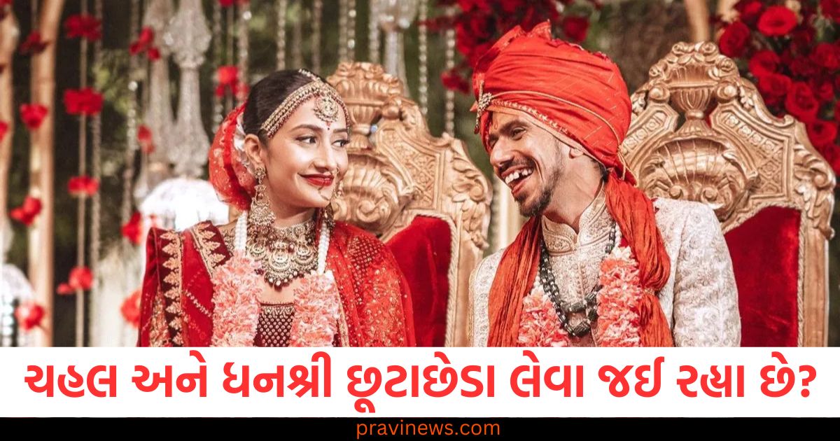 શું ચહલ અને ધનશ્રી છૂટાછેડા લેવા જઈ રહ્યા છે? ઈન્સ્ટાગ્રામ પર એકબીજાને અનફોલો કર્યા https://www.pravinews.com/entertainment/bigg-boss-18-contestant-chum-darang-net-worth-career-83157