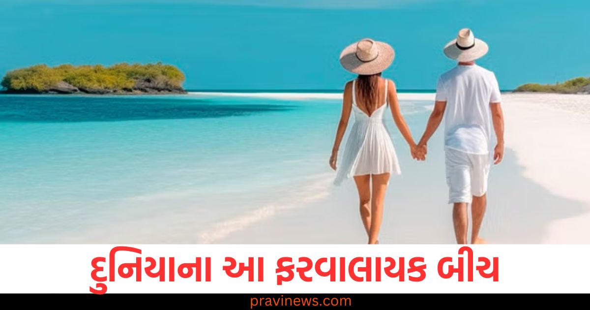 દુનિયાના 5 આ ફરવાલાયક બીચ, જ્યાં તમે સૌથી સુંદર ફોટા લઈ શકો છો https://www.pravinews.com/travel-news/5-most-beautiful-beaches-in-the-world-most-photogenic-beaches-in-the-world-disprj-105296