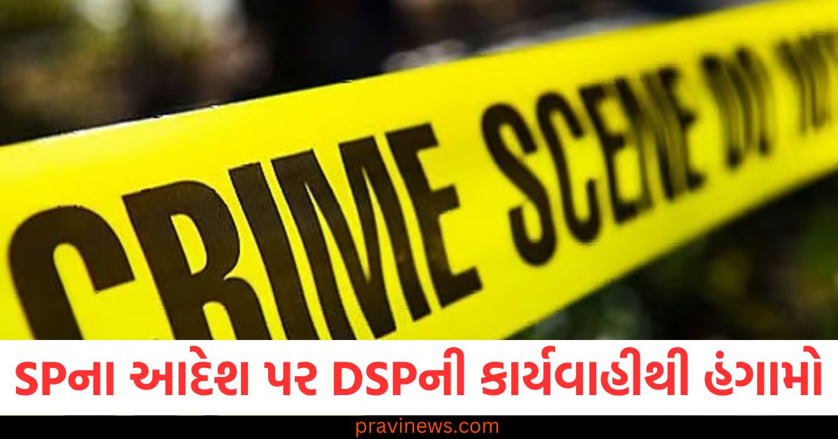 નાલંદામાં SPના આદેશ પર DSPની કાર્યવાહીથી હંગામો, રાતોરાત 68 બદમાશોની ધરપકડ https://www.pravinews.com/international-news/zelensky-fears-trump-meeting-with-russian-president-it-would-be-dangerous-if-he-meets-putin-before-me-104732