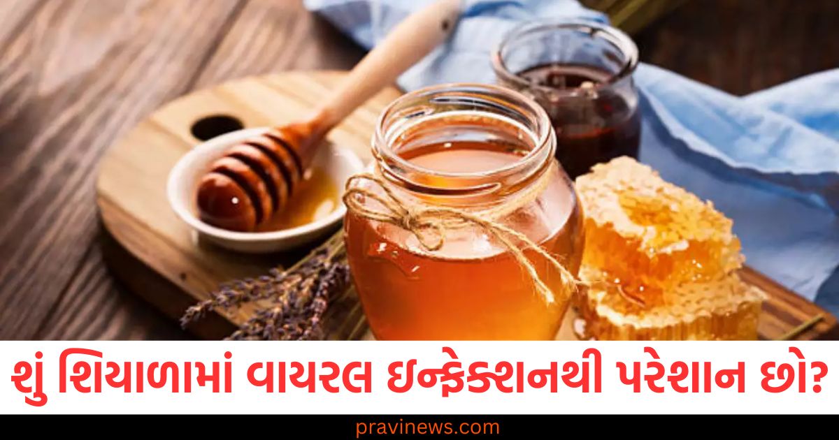 શિયાળામાં વાયરલ ઇન્ફેક્શન, મધનું સેવન શિયાળામાં રાહત, શિયાળામાં વાયરસની ઈન્ફેક્શનથી રિલીફ, મધથી વાયરસ ઇન્ફેક્શનનો ઉપચાર, શિયાળામાં આરોગ્ય માટે મધ,