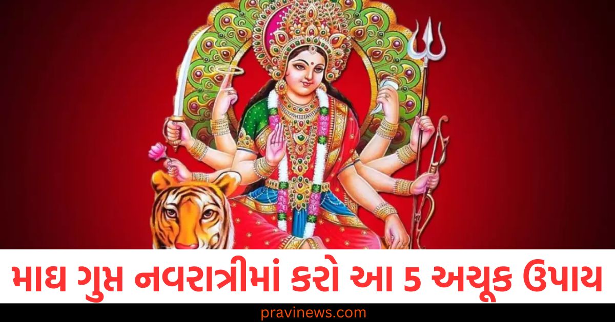 માઘ ગુપ્ત નવરાત્રી દરમિયાન આ પાંચ અચૂક ઉપાય કરો, દરેક સમસ્યા દૂર થશે, માઘ ગુપ્ત નવરાત્રીના દિવસે 5 સચોટ ઉપાય, દરેક પ્રકારની સમસ્યાનો સમાધાન, માઘ ગુપ્ત નવરાત્રીમાં કરો આ પાવરફુલ ઉપાય, જીવનના દરેક સંકટનો નાશ, માઘ ગુપ્ત નવરાત્રીના 5 મંત્ર અને ઉપાય, સમસ્યાઓ માટે સરળ અને સકારાત્મક ઉપાય,