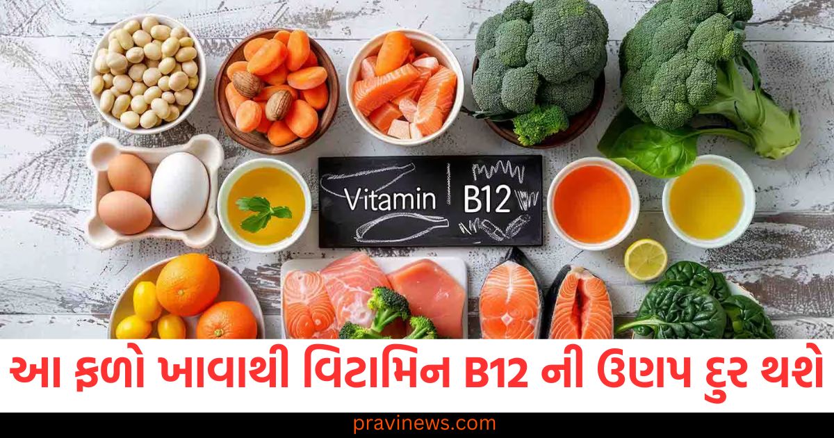 રોજ ખાઓ આ ફળો, વિટામિન B12 ની ઉણપ દૂર થશે https://www.pravinews.com/sports/team-india-has-won-the-most-t20-matches-against-these-three-teams-see-the-complete-list-here-100229