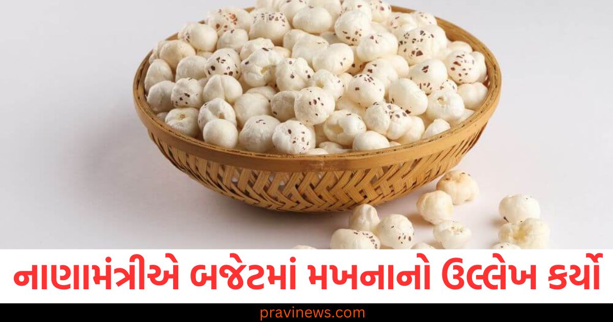 નાણામંત્રીએ બજેટમાં મખનાનો ઉલ્લેખ કર્યો, જાણો તેનું સેવન કરવાથી થતા સ્વાસ્થ્ય લાભો https://www.pravinews.com/lifestyle/home-remedies-to-turn-white-beard-black-know-how-to-use-it-98667