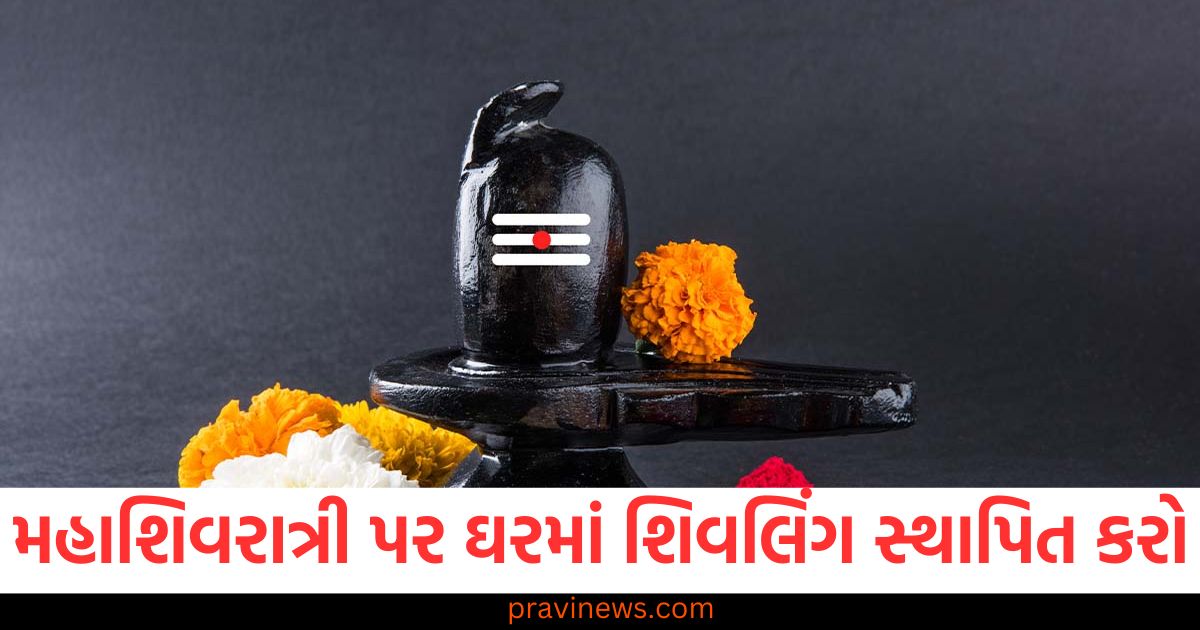 મહાશિવરાત્રી પર ઘરમાં શિવલિંગ સ્થાપિત કરવાની વાતો, શિવલિંગ સ્થાપિત કરવા માટેની જરૂરી શરતો, મહાશિવરાત્રી પર શિવલિંગ સ્થાપનના વિધિ અને ઉપાયો, ઘરમાં શિવલિંગ સ્થાપન માટે શું ધ્યાન રાખવું, મહાશિવરાત્રી પર શિવલિંગ સ્થાપિત કરવા માટેના માર્ગદર્શિકાઓ,