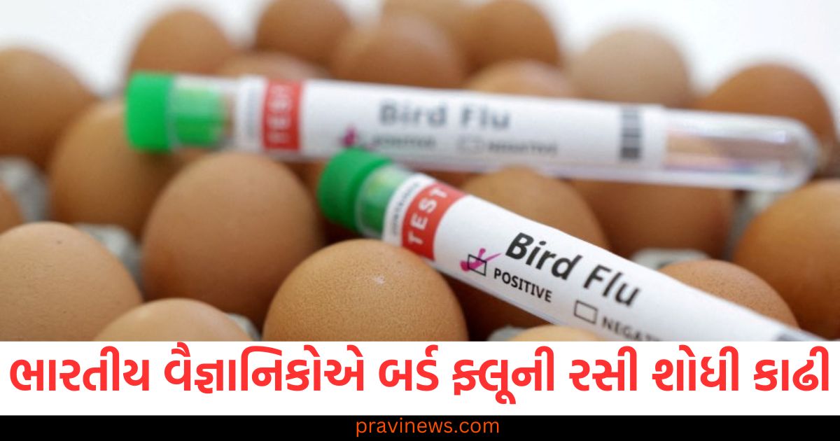 ભારતીય વૈજ્ઞાનિકોએ બર્ડ ફ્લૂની રસી શોધી કાઢી, મરઘીના ગર્ભિત ઈંડામાંથી જીવંત વાયરસ કાઢ્યો https://www.pravinews.com/lifestyle/health-fitness/guillain-barre-syndrome-outbreak-in-maharashtra-pune-guillain-barre-syndrome-causes-symptoms-and-treatment-precautions-100156