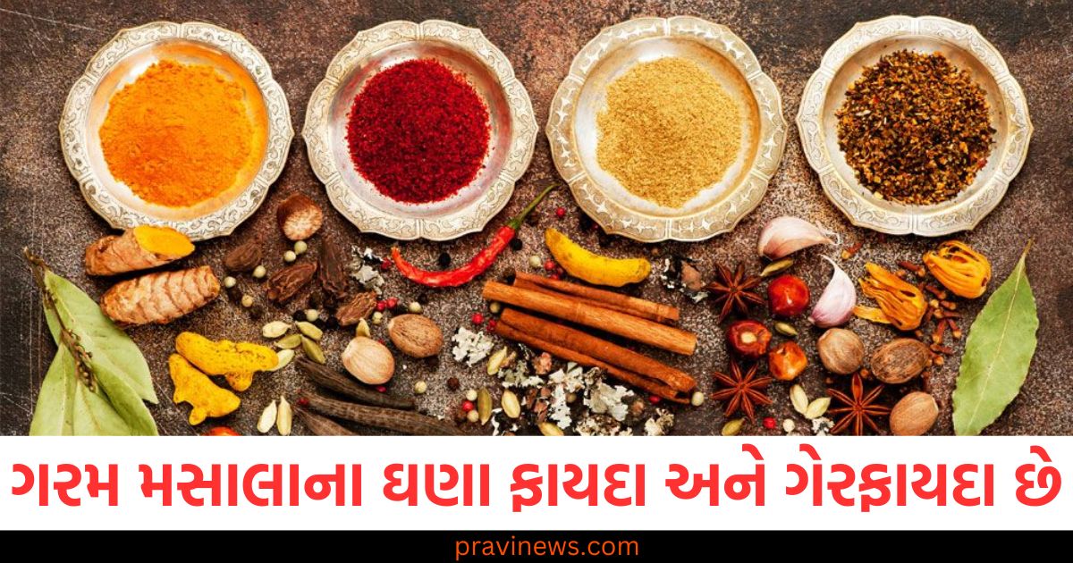 ગરમ મસાલાના ફાયદા અને ગેરફાયદા, ગરમ મસાલાના સ્વાસ્થ્ય ફાયદા, ગરમ મસાલા ખાવાના ગેરફાયદા, ગરમ મસાલાના લાભ અને નુકસાન, ગરમ મસાલાના સંગ્રહિત ફાયદા અને ખામી,