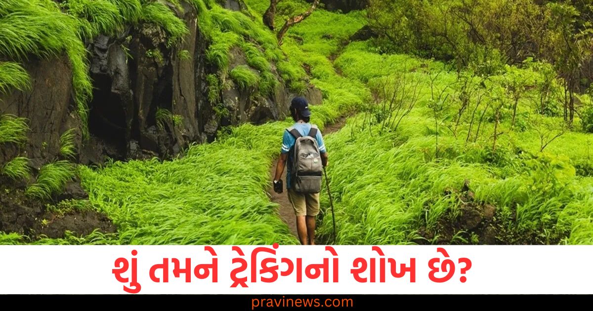 શું તમને ટ્રેકિંગનો શોખ છે? દિલ્હીની આસપાસના આ ટ્રેકિંગ પર જરૂર જાવ https://www.pravinews.com/travel-news/interesting-facts-about-taj-mahal-you-must-know-16277