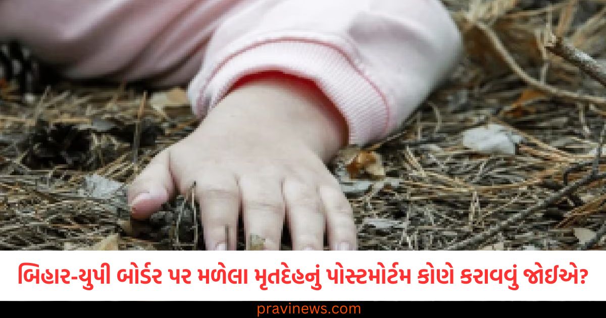 બિહાર-યુપી બોર્ડર પર મળેલા મૃતદેહનું પોસ્ટમોર્ટમ કોણે કરાવવું જોઈએ? બે રાજ્યોની પોલીસ કલાકો સુધી ફસાઈ રહી https://www.pravinews.com/world-news-in-gujarati/actor-vijay-attack-on-bjp-and-dmk-says-fights-like-lkg-and-ukg-over-three-language-row-109483