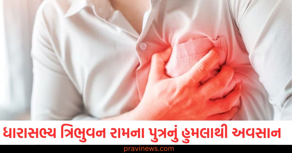 સિંગાપોરમાં ભાજપના ધારાસભ્ય ત્રિભુવન રામના પુત્રનું હૃદયરોગના હુમલાથી અવસાન થયું https://www.pravinews.com/business/railways-earned-96-crores-in-3-months-by-selling-water-bottles-are-available-at-this-rate-since-last-12-years-103604