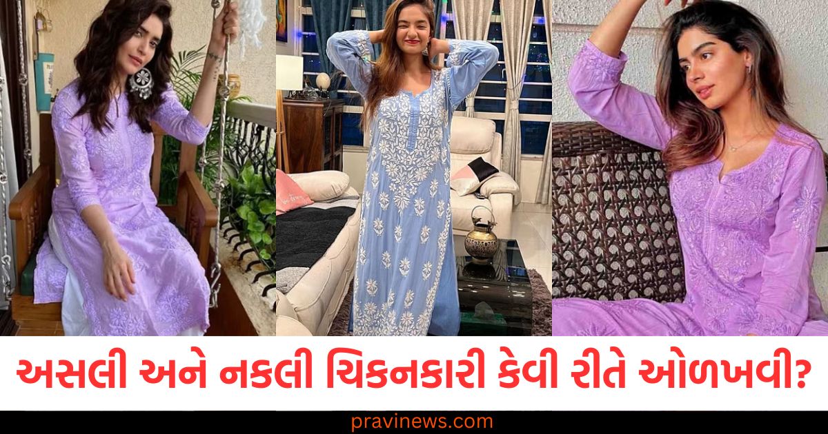 અસલી અને નકલી ચિકનકારી કેવી રીતે ઓળખવી? આ બાબતોને ધ્યાનમાં રાખીને સરળતાથી ચેક કરો https://www.pravinews.com/entertainment/renowned-classical-music-singer-passes-away-pandit-prabhakar-received-many-awards-103431