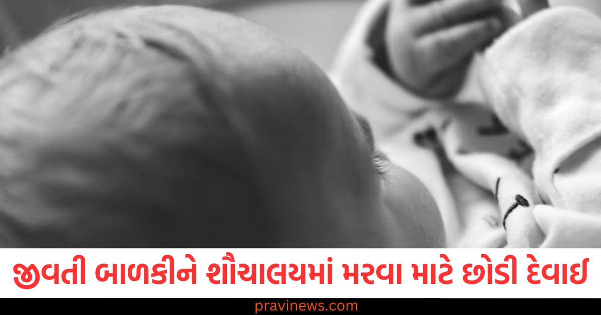 એક જીવતી બાળકીને શૌચાલયમાં મરવા માટે છોડી દેવાઈ , કોર્ટે માતાપિતાને 3 વર્ષની સજા ફટકારી https://www.pravinews.com/gujarat-news/rajkot-hospital-women-private-check-ups-videos-leak-6-arrested-connection-with-maharashtra-new-reveal-108742