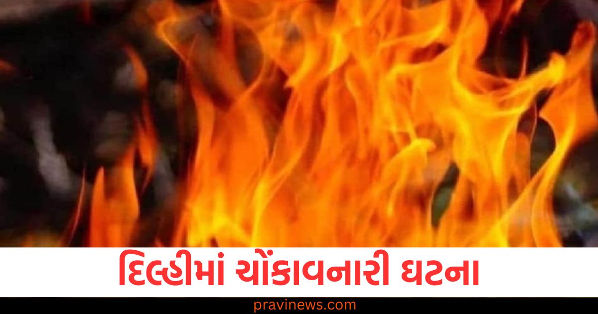 દિલ્હીમાં ચોંકાવનારી ઘટના, મંદિરમાં આગ લાગતાં 65 વર્ષીય પુજારી જીવતા સળગી ગયા https://www.pravinews.com/world-news-in-gujarati/mandi-himachal-pradesh-earthquake-update-people-came-out-house-107966