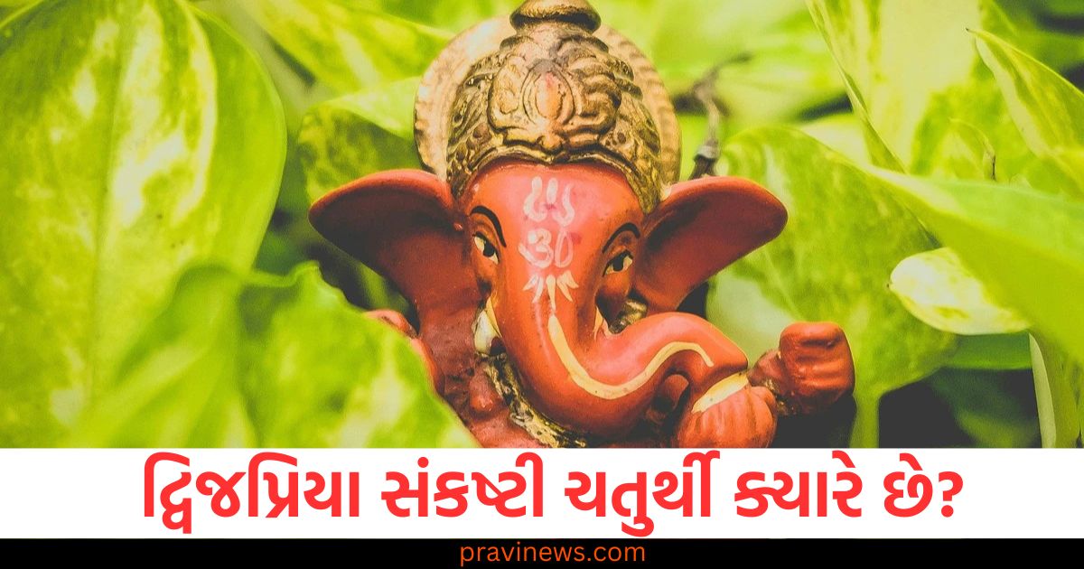 દ્વિજપ્રિયા સંકષ્ટી ચતુર્થી ક્યારે છે? તારીખ અને સંપૂર્ણ વિધિ જાણો, દ્વિજપ્રિયા સંકષ્ટી ચતુર્થી 2025 તારીખ અને પૂજા વિધિ, દ્વિજપ્રિયા સંકષ્ટી ચતુર્થી ક્યારે છે? આ દિવસે શું હોય છે પૂજા વિધિ, દ્વિજપ્રિયા સંકષ્ટી ચતુર્થી 2025: ઉપવાસ અને પૂજા વિધિ જાણો, દ્વિજપ્રિયા સંકષ્ટી ચતુર્થી તારીખ, પૂજા વિધિ અને મહત્વ,