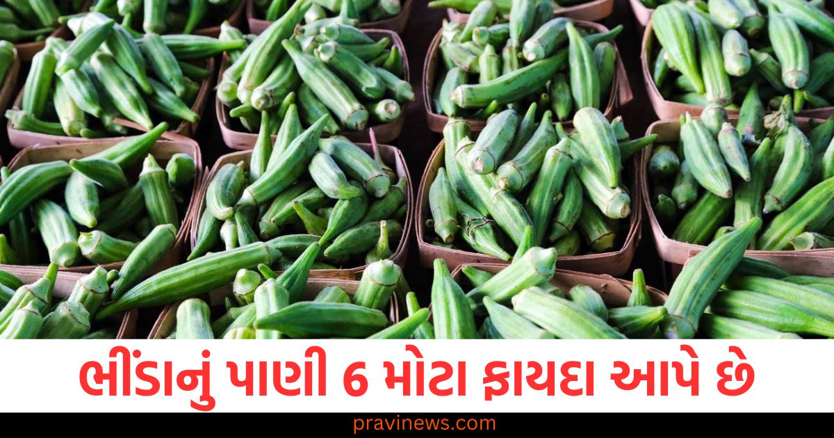 માત્ર ડાયાબિટીસ અને વજન ઘટાડવા માટે જ નહીં... ભીંડાનું પાણી 6 મોટા ફાયદા આપે છે https://www.pravinews.com/lifestyle/dont-make-this-mistake-while-wearing-shoes-it-can-cause-serious-illness-103469