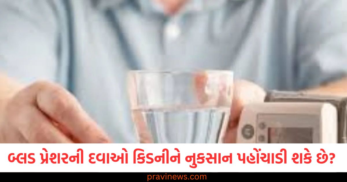 શું બ્લડ પ્રેશરની દવાઓ કિડનીને નુકસાન પહોંચાડી શકે છે? જાણો નિષ્ણાતો શું કહે છે https://www.pravinews.com/world-news-in-gujarati/mumbai-ahmedabad-bullet-train-project-update-2025-latest-update-timeline-launch-date-all-details-101666