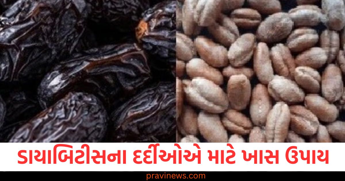 ખજૂર જ નહીં તેના બીજ પણ સ્વાસ્થ્ય માટે વરદાન છે, ડાયાબિટીસના દર્દીઓએ માટે ખાસ ઉપાય https://www.pravinews.com/lifestyle/sesame-seeds-benefits-winter-super-food-weight-loss-rajiv-dixit-healthy-lifestyle-routine-til-khane-se-kam-hoga-vajan-janiye-fayde-66163