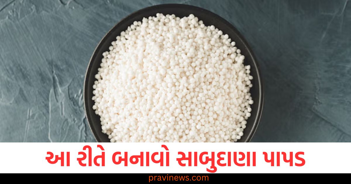 આ રીતે બનાવો સાબુદાણા પાપડ, ઉપવાસ દરમિયાન પણ ખાઈ શકો છો https://www.pravinews.com/technology/chinese-ai-deepseek-downloading-banned-in-south-korea-amind-risk-of-data-theft-and-privacy-issues-105339