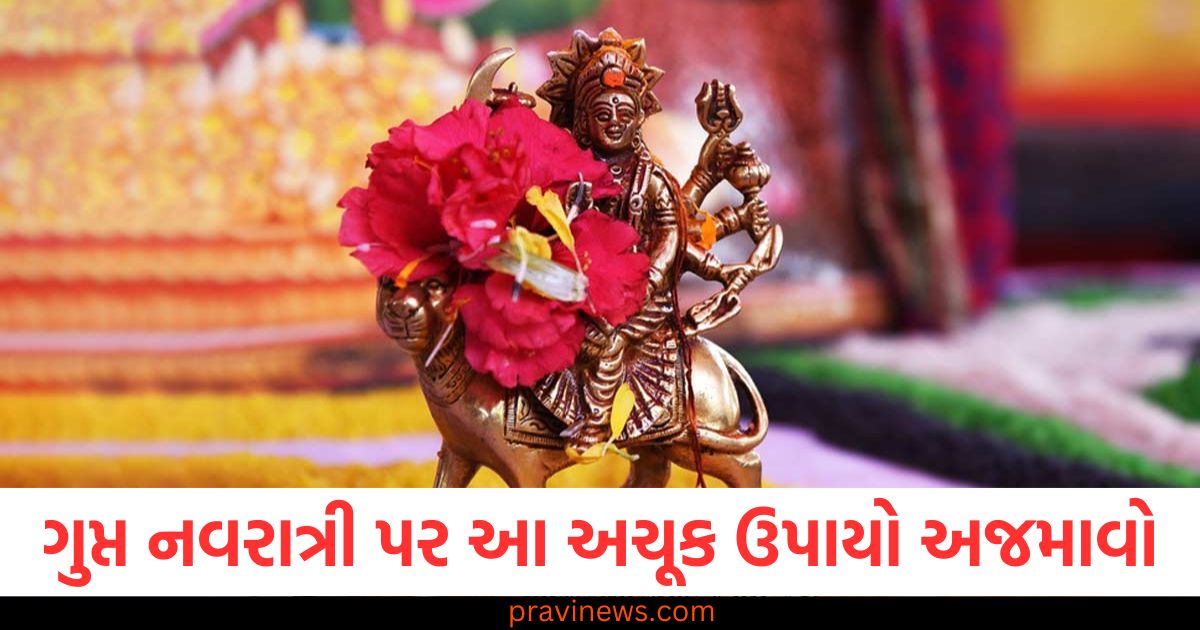 ગુપ્ત નવરાત્રી પર આ અચૂક ઉપાયો અજમાવો, મા દુર્ગા કૃપાથી આખું વર્ષ ધનની વર્ષા થશે! https://www.pravinews.com/religion/astrology/magh-gupat-navratri-puja-vidhi-maa-durga-puja-gupt-navtari-par-upay-99702