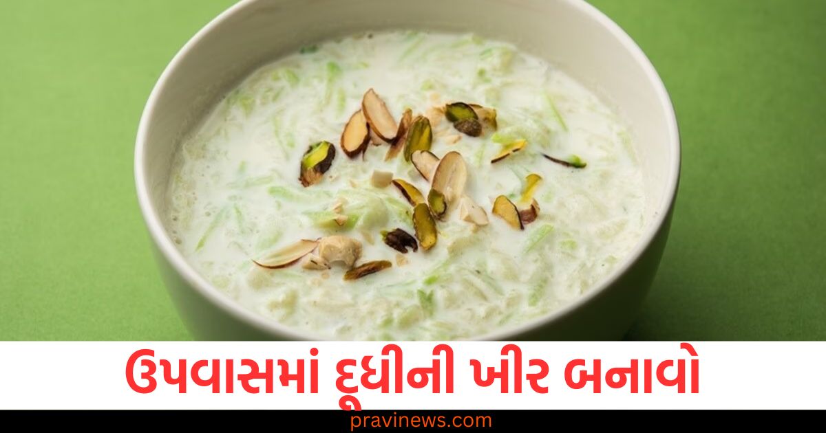 ઉપવાસમાં દૂધીની ખીર બનાવો , ઉપવાસ કર્યા વિના ખાવાની માંગ થશે https://www.pravinews.com/food/page/6