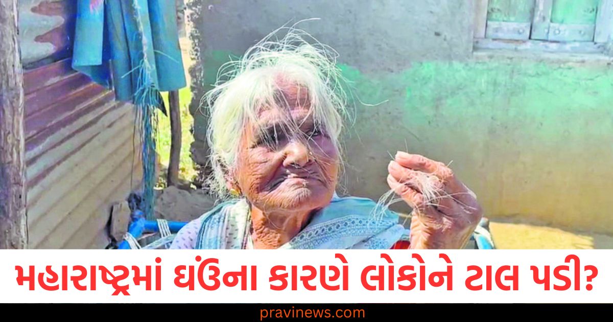 શું મહારાષ્ટ્રમાં ઘઉંના કારણે લોકોને ટાલ પડી હતી? રિપોર્ટમાં મોટો દાવો કરવામાં આવ્યો https://www.pravinews.com/religion/rangbhari-ekadashi-2025-date-shubh-muhurat-vrat-paran-time-significance-in-varanasi-109167