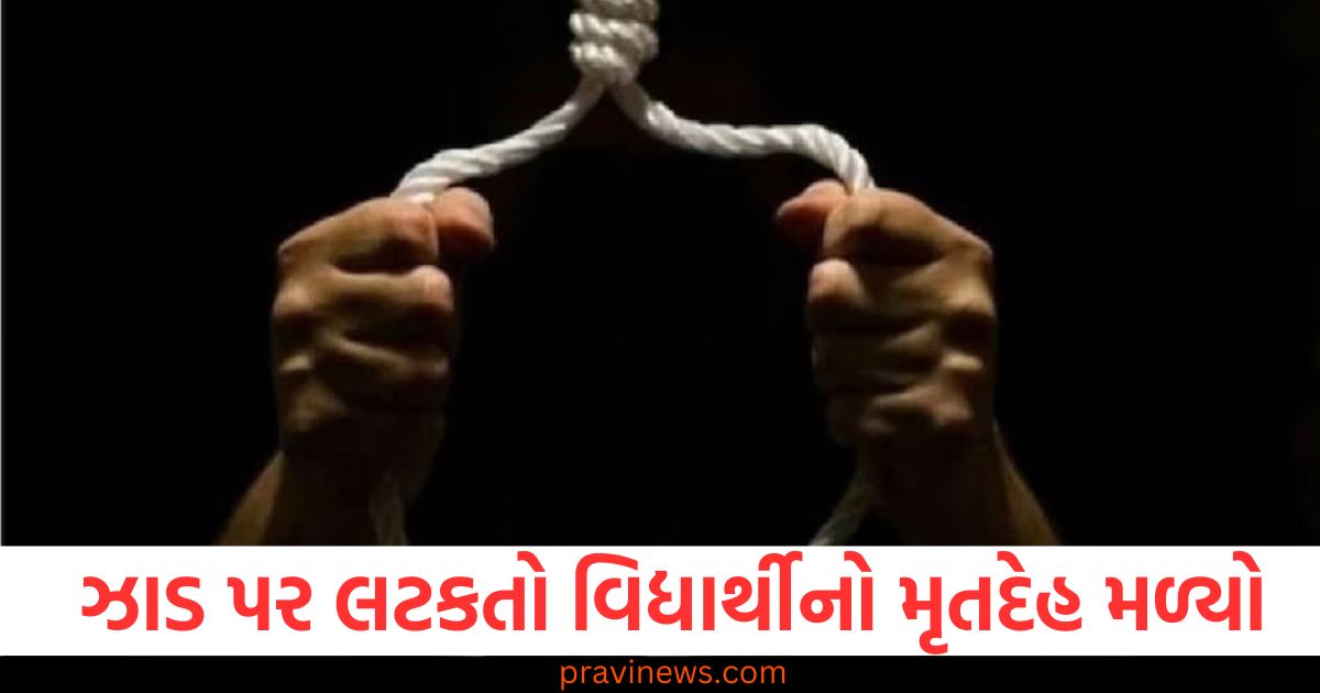 શાળા પાસે ઝાડ પર લટકતો વિદ્યાર્થીનો મૃતદેહ મળ્યો, પોલીસને આત્મહત્યાની શંકા https://www.pravinews.com/gujarat-news/godhra-train-carnage-case-absconding-life-convict-nabbed-in-pune-99385