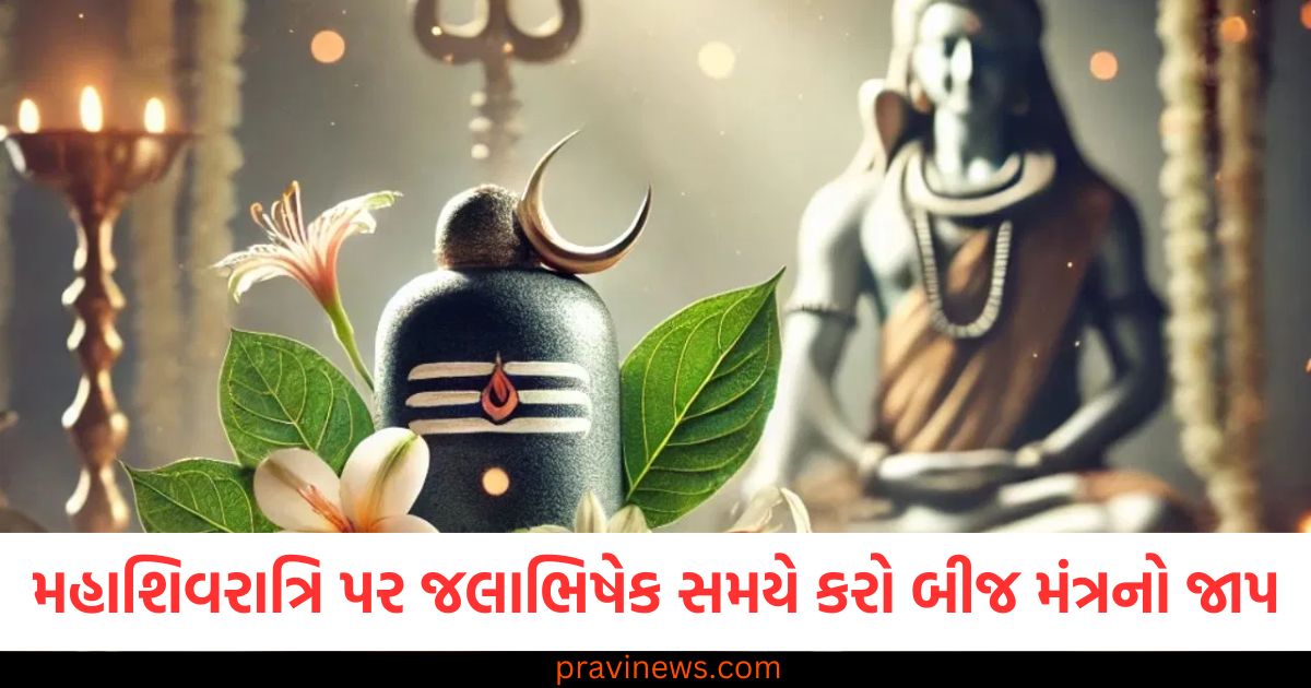 મહાશિવરાત્રિ પર જલાભિષેક સમયે કરો 5 બીજ મંત્રનો જાપ, ભગવાન શિવ દરેક સમસ્યામાંથી અપાવશે મુક્તિ https://www.pravinews.com/religion/rishi-panchami-vrat-katha-35109