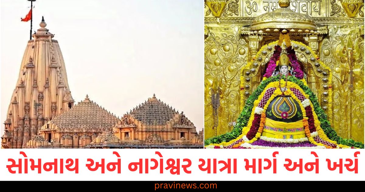 જો તમે મહાશિવરાત્રી પર ગુજરાતના જ્યોતિર્લિંગના દર્શન કરવા માંગતા હોય, તો ખર્ચ અને મુસાફરીની સંપૂર્ણ વિગતો જાણો https://www.pravinews.com/world-news-in-gujarati/up-meerut-forest-department-number-to-inform-deer-python-under-search-in-many-areas-105545