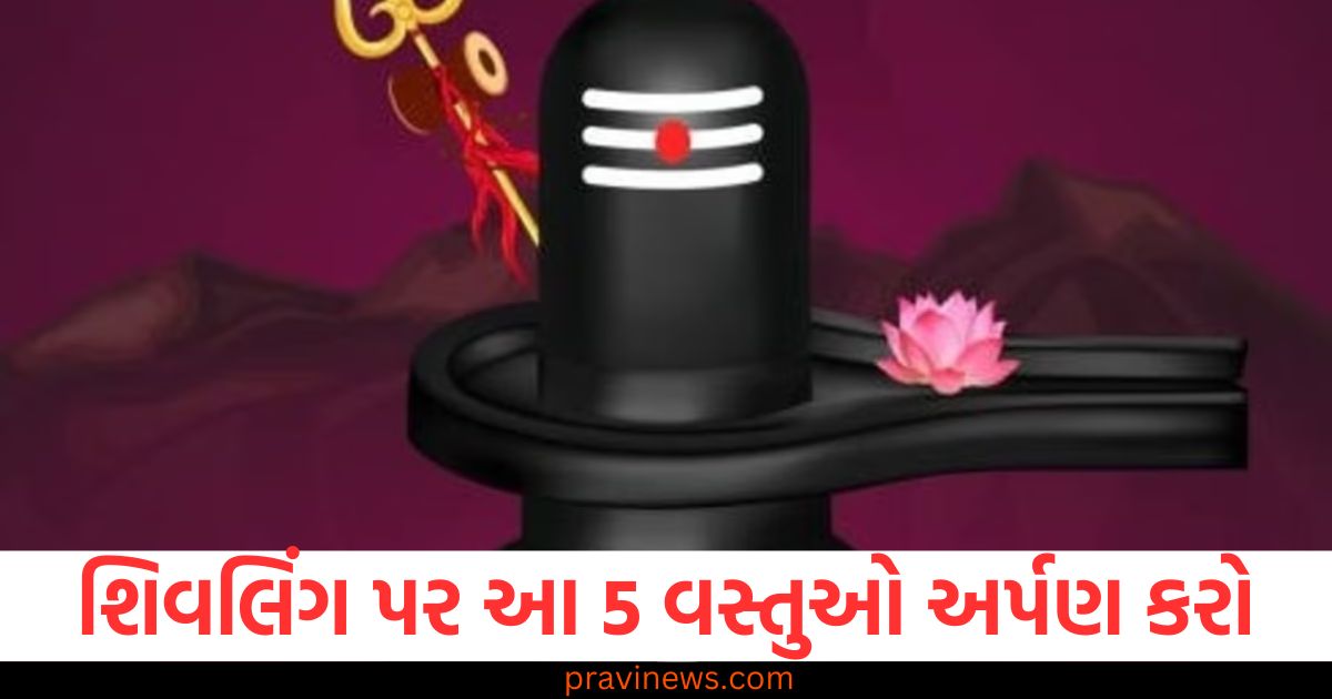 મહાશિવરાત્રી પર શિવલિંગ પર આ 5 વસ્તુઓ અર્પણ કરો, મહાદેવ પ્રસન્ન થશે, મહાશિવરાત્રી પર શિવલિંગને 5 મહત્વપૂર્ણ વસ્તુઓ અર્પણ કરો, મહાશિવરાત્રી પર શિવલિંગ પર 5 શ્રેષ્ઠ પ્રસાદો અને તેમની મહત્ત્વતા, મહાશિવરાત્રીમાં શિવલિંગ પર 5 વસ્તુઓ અર્પણ કરવાથી મળશે મહાદેવના આશીર્વાદ, મહાશિવરાત્રી પર શિવલિંગને 5 વસ્તુઓ અર્પણ કરવા માટેની શ્રેષ્ઠ રીત,