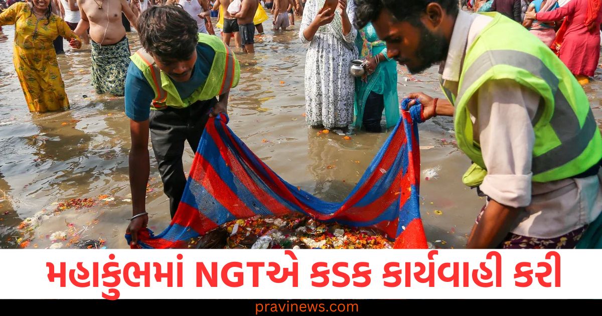 મહાકુંભમાં ખુલ્લામાં શૌચ કરવા પર NGTએ કડક કાર્યવાહી કરી, UP સરકારને નોટિસ ફટકારી અને જવાબ માંગ્યો https://www.pravinews.com/world-news-in-gujarati/bride-who-died-of-heart-attack-was-found-alive-24-hours-later-she-had-fled-with-her-friend-106444