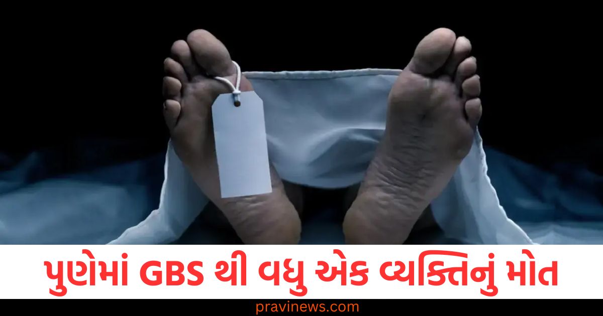 પુણેમાં GBS થી વધુ એક વ્યક્તિનું મોત, 3 નવા કેસ નોંધાયા, 21 દર્દીઓ વેન્ટિલેટર પર https://www.pravinews.com/world-news-in-gujarati/pune-gbs-case-another-patient-dies-number-of-infected-people-increased-after-3-new-cases-reported-21-on-ventilator-102398