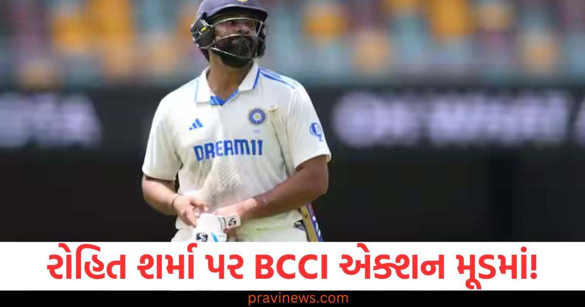 રોહિત શર્મા પર BCCI એક્શન મૂડમાં! શું ટેસ્ટ ફોર્મેટમાંથી વિદાય નક્કી? https://www.pravinews.com/international-news/elon-musk-father-expressed-his-fear-in-the-interview-the-tesla-ceo-will-shoot-me-104814