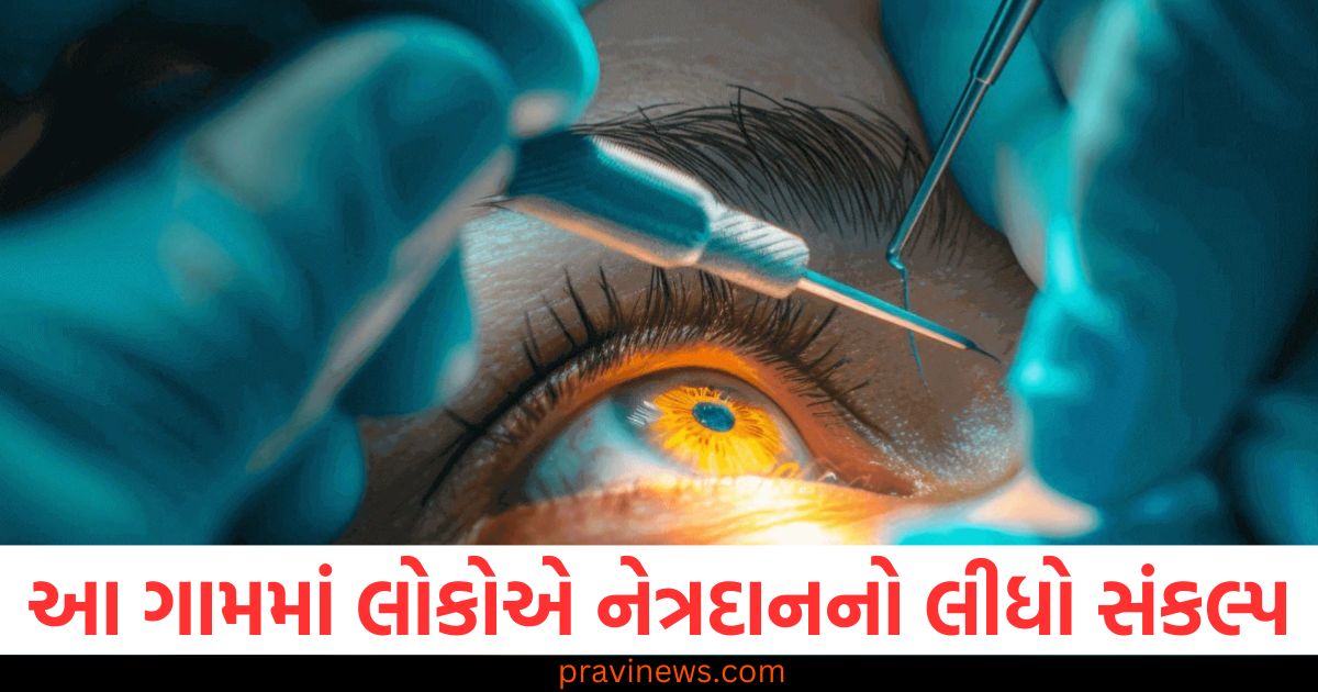 આ ગામમાં લોકોએ નેત્રદાનનો લીધો સંકલ્પ , અત્યાર સુધીમાં 70 જેટલા લોકોએ કર્યું દાન https://www.pravinews.com/gujarat-news/van-bringing-pilgrims-from-mahakumbh-collided-with-truck-in-gujarat-four-killed-six-injured-104776