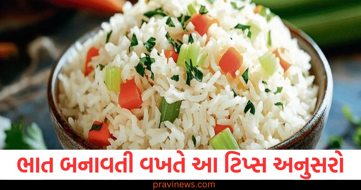 ભાત હલવાઈ જેવો બનાવો: આ 5 ટિપ્સ અજમાવો, આ 5 ટિપ્સથી ભાત એકદમ હલવાઈ જેવા બનેલાં, ભાતને હલવાઈ જેવી બનાવવા માટેના 5 સિક્રેટ ટિપ્સ, ભાત હલવાઈ જેવો બનાવવા માટે 5 અસરકારક ટિપ્સ, ભાત નરમ અને હલવાઈ બનાવી રાખવા માટે 5 સરળ ટિપ્સ,