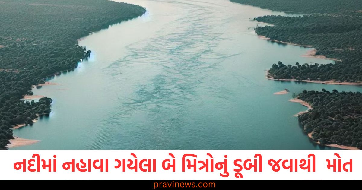 યુપીમાં નદીમાં નહાવા ગયેલા બે મિત્રોનું ડૂબી જવાથી દર્દનાક મોત.,પરિવારના સભ્યોમાં અફડાતફડીનો માહોલ https://www.pravinews.com/world-news-in-gujarati/delhi-rohini-surya-mandir-fire-priest-dies-l-108135