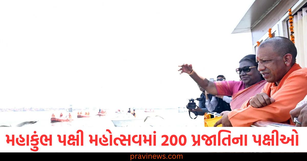 મહાકુંભ પક્ષી મહોત્સવમાં 200 પ્રજાતિના પક્ષીઓ જુઓ, યોગી સરકાર ફોટા પાડનારાઓને 21 લાખ સુધીના ઇનામ આપશે https://www.pravinews.com/business/these-6-banks-have-the-lowest-interest-rates-on-home-loans-see-list-103493