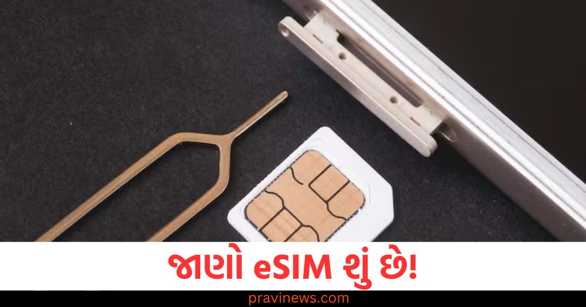 eSIM શું છે! જાણો કે તે ફિજિકલ સિમ કાર્ડથી કેવી રીતે અલગ છે https://www.pravinews.com/technology/cybercriminals-posing-as-google-support-team-calls-people-to-steal-gmail-credentials-99050