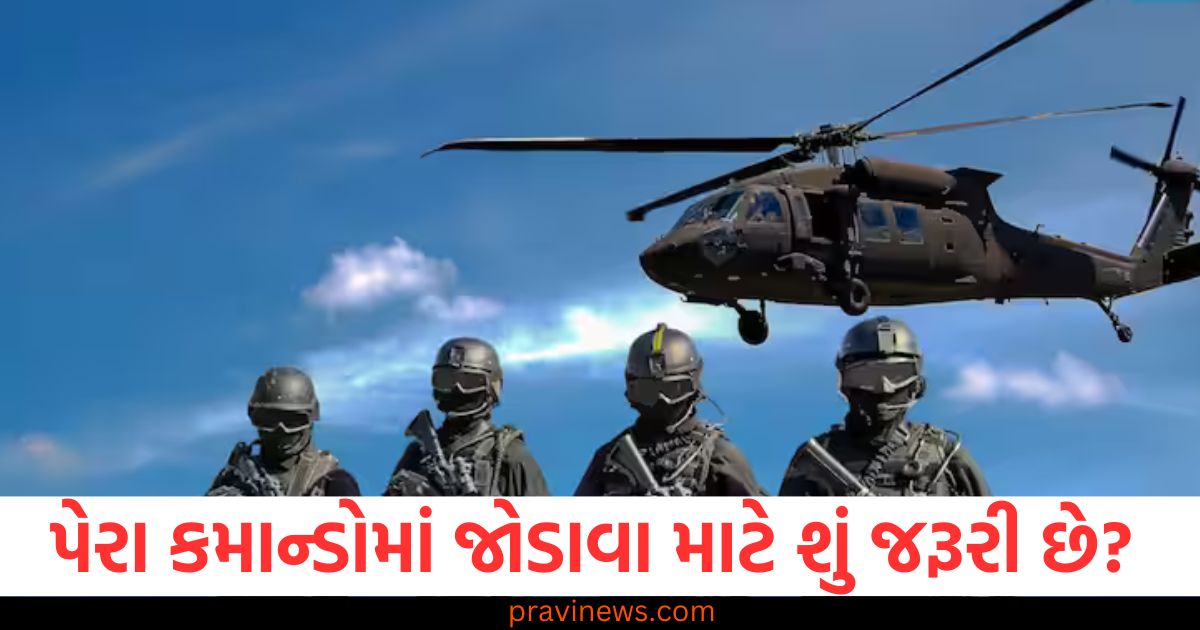 પેરા કમાન્ડોમાં જોડાવા માટે શું જરૂરી છે? પસંદગી કેવી રીતે થાય છે તે જાણો https://www.pravinews.com/ajab-gajab/germany-used-chemical-weapons-in-the-first-world-war-know-how-dangerous-it-was-98889