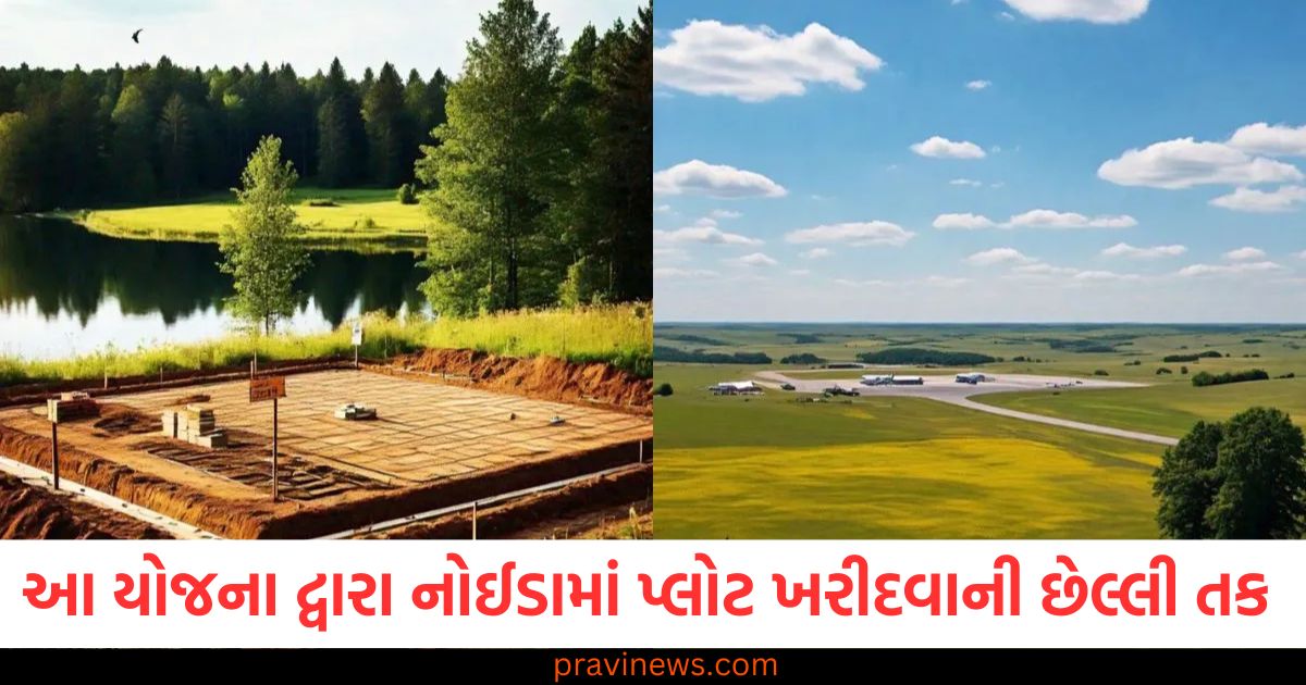 YEIDA ની આ યોજના દ્વારા નોઈડામાં પ્લોટ ખરીદવાની છેલ્લી તક, સંપૂર્ણ વિગતો અહીં જાણો https://www.pravinews.com/world-news-in-gujarati/jaipur-rto-inspector-vijendra-kumar-jangid-beaten-by-public-after-road-accident-watch-video-98837