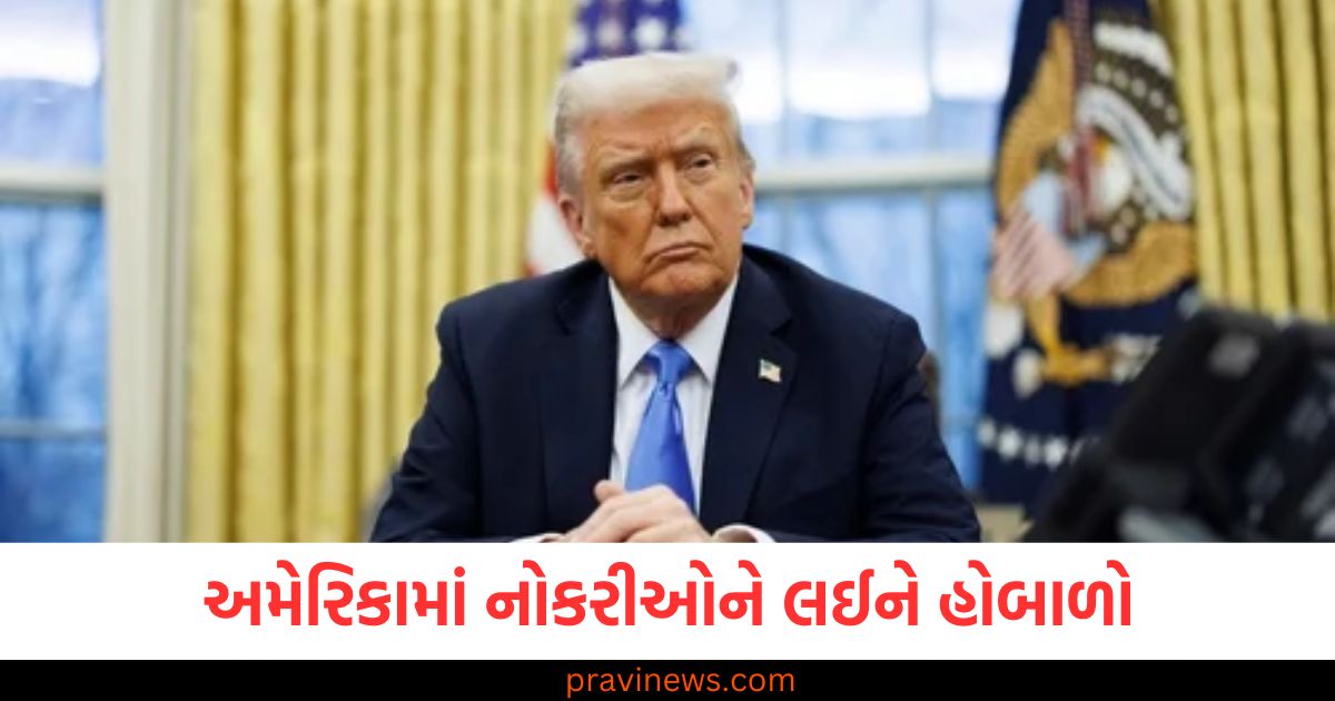 અમેરિકામાં નોકરીઓને લઈને હોબાળો, 10 હજાર કર્મચારીઓને કાઢી મૂક્યા બાદ ટ્રમ્પનો મોટો નિર્ણય https://www.pravinews.com/international-news/chernobyl-nuclear-power-plant-hit-by-russian-drone-volodymyr-zelenskyy-warning-104172