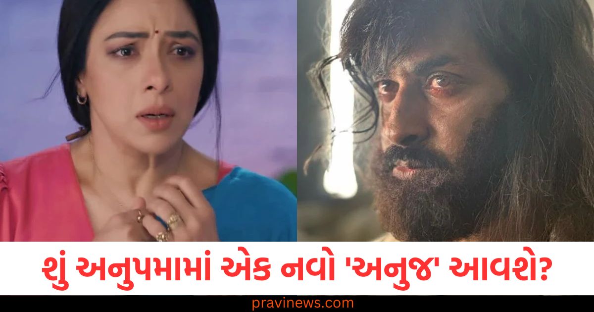 શું અનુપમામાં એક નવો 'અનુજ' આવશે? મનીષ ગોયલના ફર્સ્ટ લુકે પ્રશ્નો ઉભા કર્યા https://www.pravinews.com/entertainment/govinda-sister-kamini-khanna-on-brother-divorce-rumours-110682