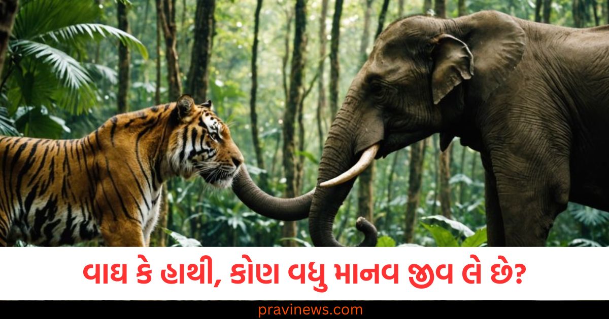 વાઘ કે હાથી, કોણ વધુ માનવ જીવ લે છે? જો તમને આંકડા ખબર પડશે તો તમે ચોંકી જશો https://www.pravinews.com/religion/astrology/kal-ka-rashifal-tomorrow-horoscope-3-march-2025-bhavishyafal-lucky-and-unlucky-zodiacs-110935