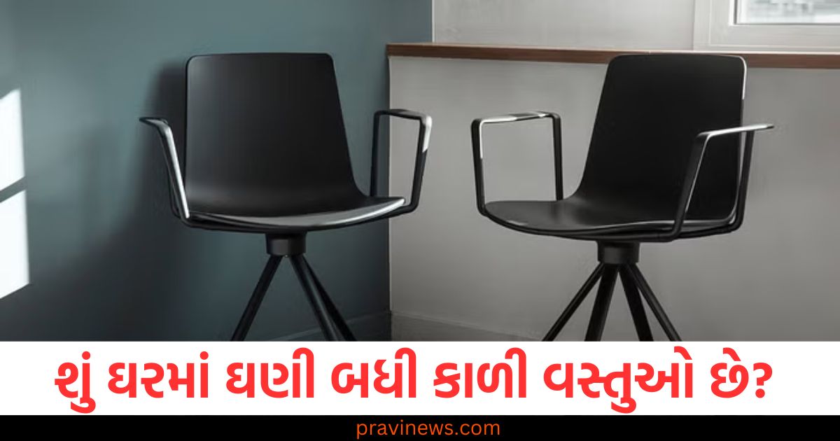 શું ઘરમાં ઘણી બધી કાળી વસ્તુઓ છે? શુભ અને અશુભ અસરો અને યોગ્ય ઉપાયો જાણો https://www.pravinews.com/religion/vastu-tips-for-home-too-many-black-objects-in-the-house-know-the-effects-and-correct-remedies-111212