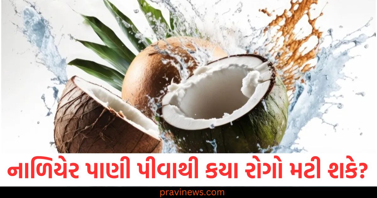 નાળિયેર પાણી પીવાથી કયા રોગો મટી શકે છે? તે સ્વાસ્થ્ય માટે વરદાન સાબિત થશે https://www.pravinews.com/lifestyle/health-fitness/know-the-right-way-to-walk-after-having-meals-to-get-amazing-benefits-100092